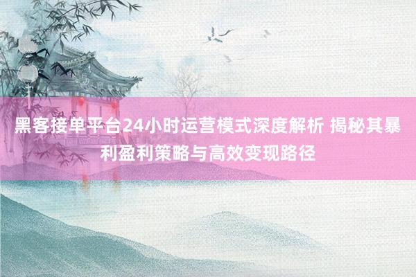 黑客接单平台24小时运营模式深度解析 揭秘其暴利盈利策略与高效变现路径