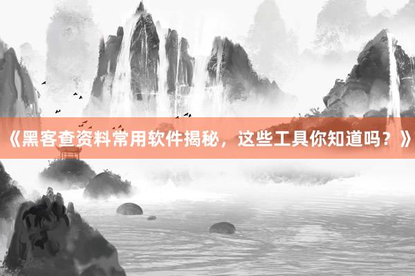 《黑客查资料常用软件揭秘，这些工具你知道吗？》